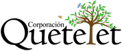 img/logo.png